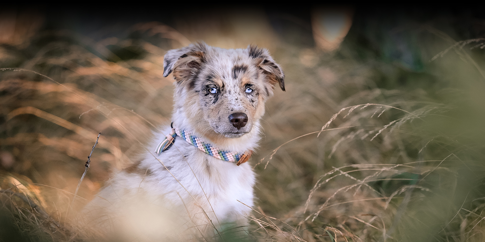 litisign-Website_Startseite-Slider-1_09-22