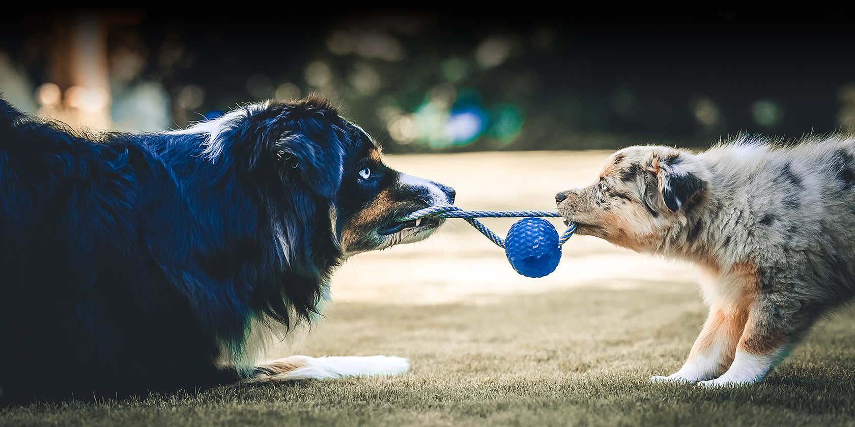 litisign-Website_Startseite-Slider-2_09-22