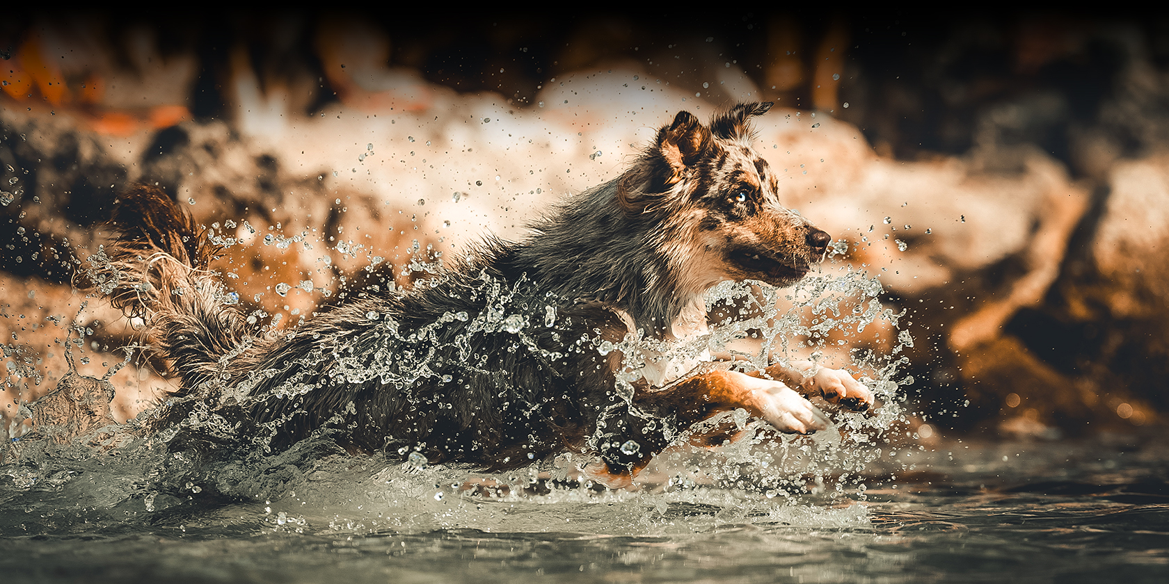 litisign-Website_Startseite-Slider-3_09-22