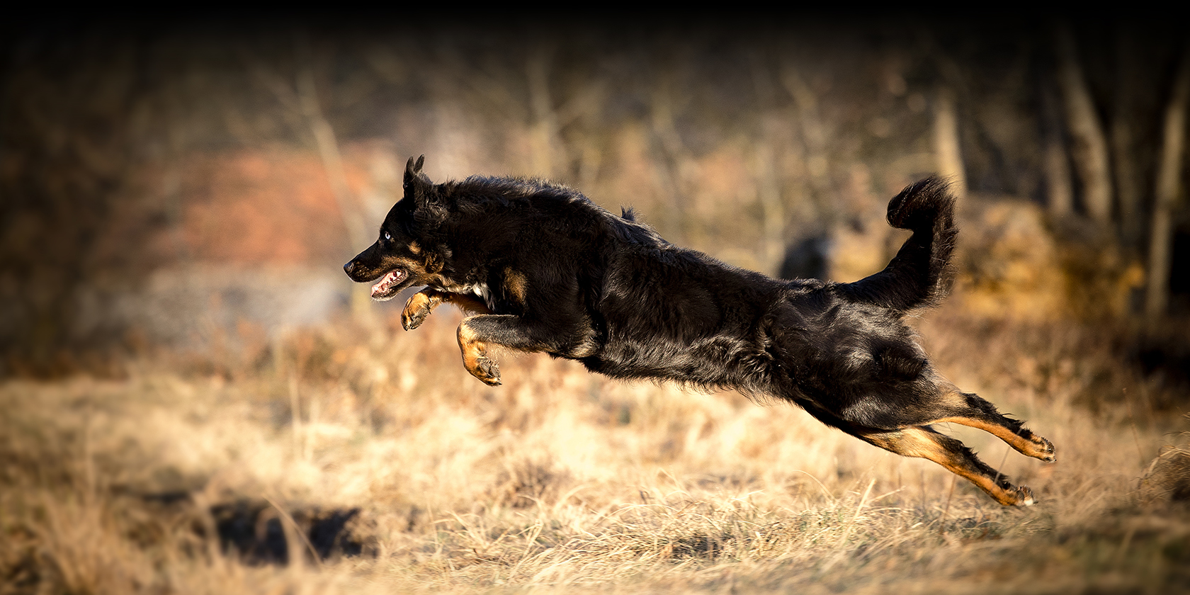 litisign-Website_Startseite-Slider-5_09-22