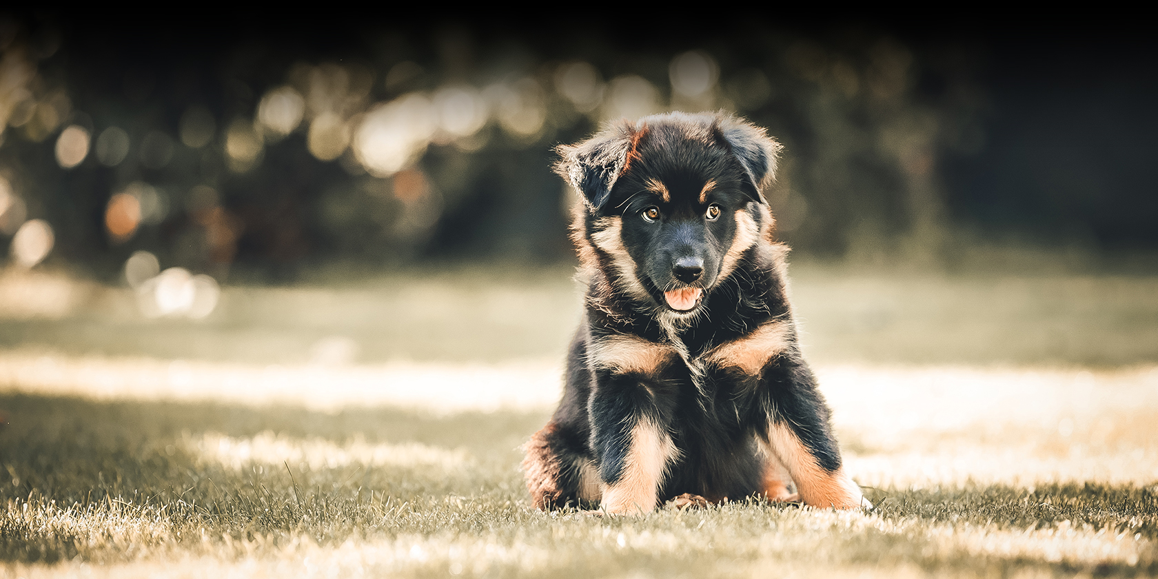 litisign-Website_Startseite-Slider-6_09-22