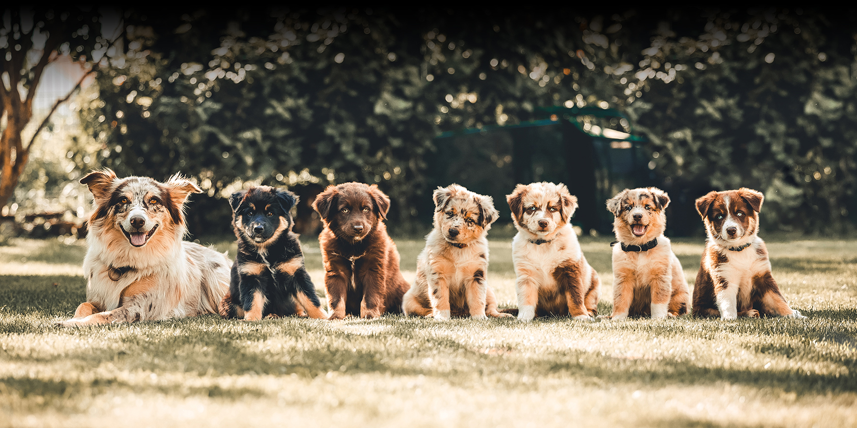 litisign-Website_Startseite-Slider-7_09-22