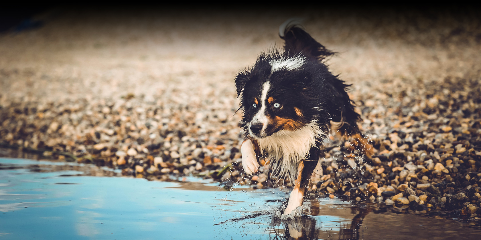 litisign-Website_Startseite-Slider-8_09-22