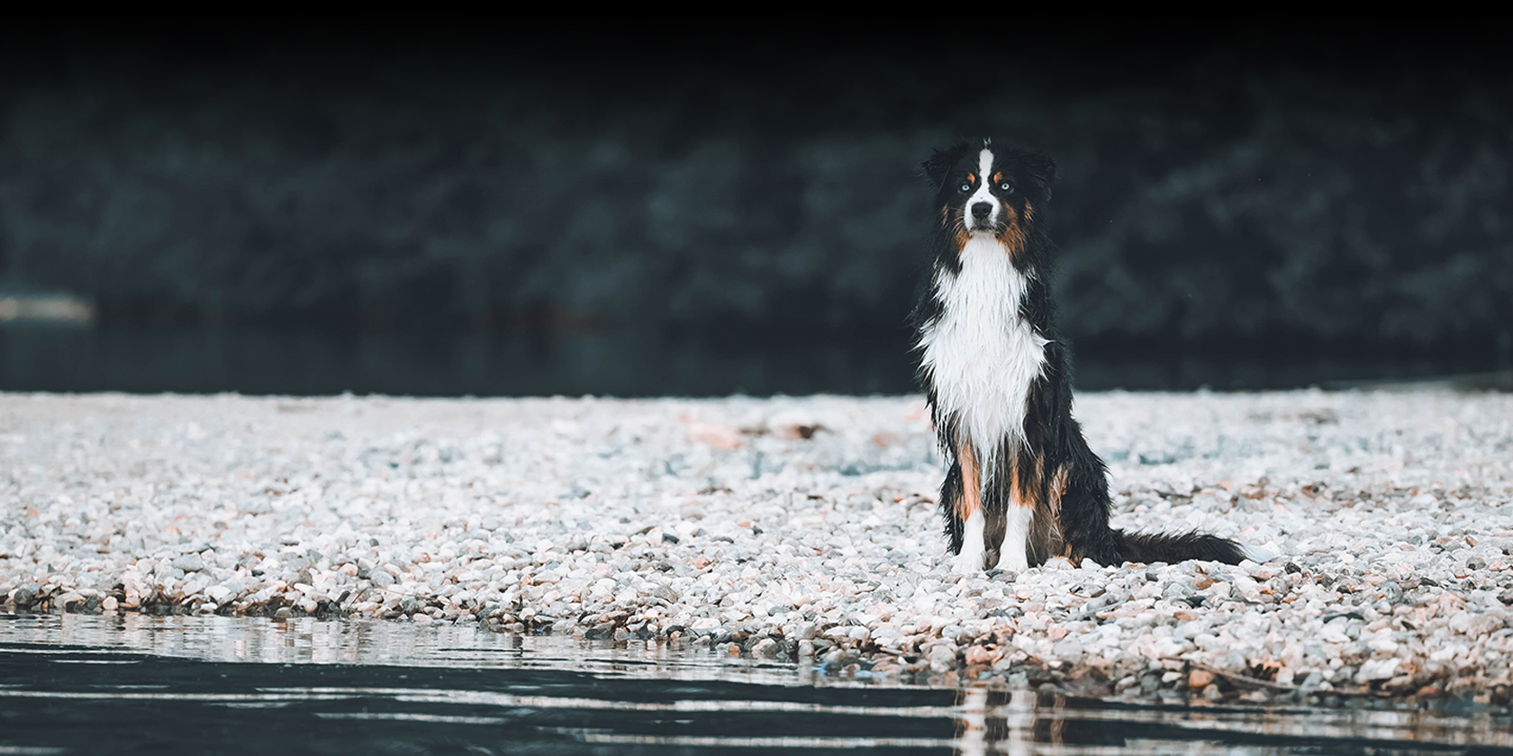 litisign-Website_Startseite-Slider-9_09-22