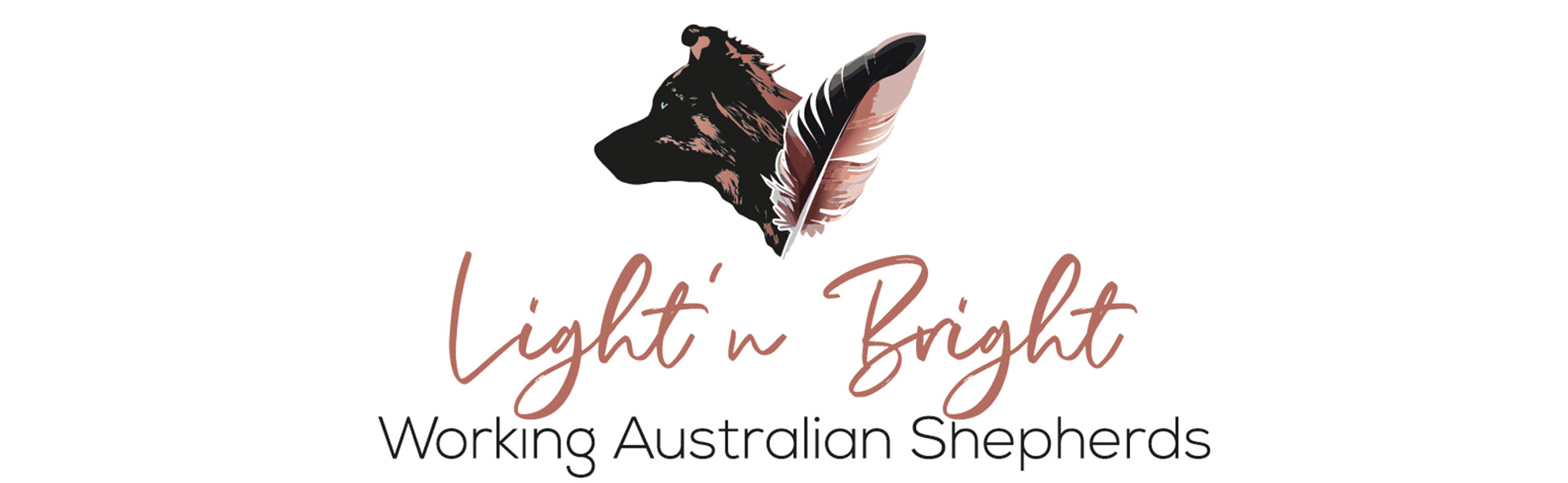 Logo_LnB